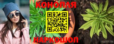 дмт Моздок