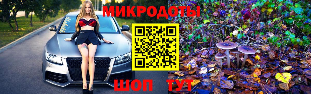 Дальнереченск  Галлюциногенные грибы прущие грибы  купить наркотик  Псилоцибиновые грибы Cubensis  Вход с VPN 